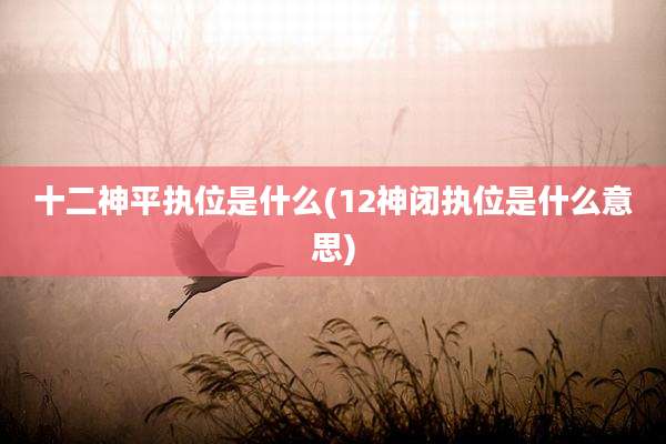 十二神平执位是什么(12神闭执位是什么意思)