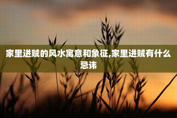 家里进贼的风水寓意和象征,家里进贼有什么忌讳