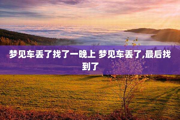 梦见车丢了找了一晚上 梦见车丢了,最后找到了