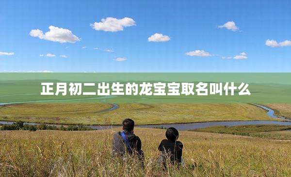 正月初二出生的龙宝宝取名叫什么