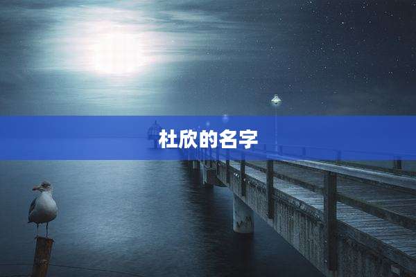 杜欣的名字