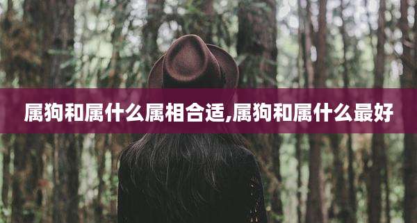 属狗和属什么属相合适,属狗和属什么最好