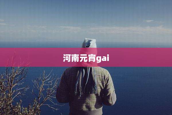 河南元宵gai
