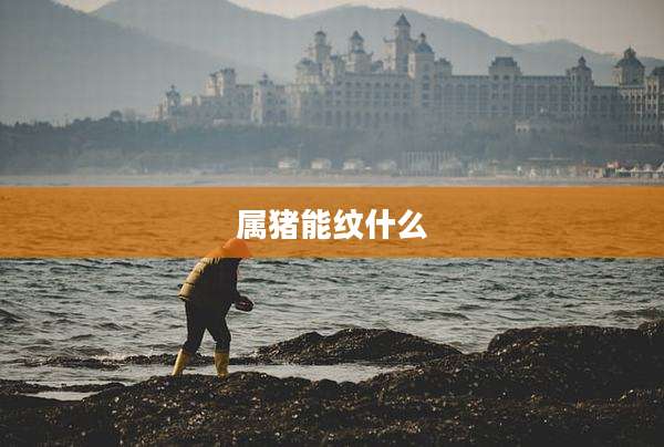 属猪能纹什么