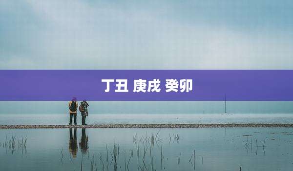 丁丑 庚戌 癸卯