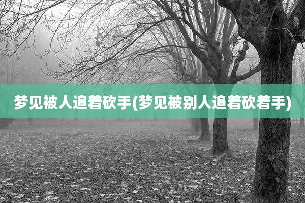 梦见被人追着砍手(梦见被别人追着砍着手)