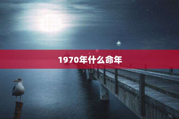 1970年什么命年
