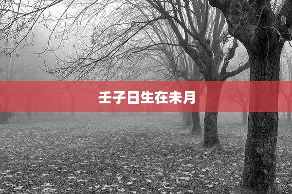 壬子日生在未月