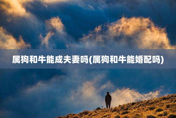 属狗和牛能成夫妻吗(属狗和牛能婚配吗)
