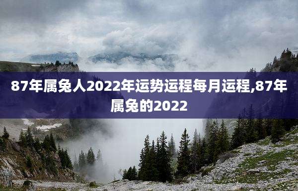 87年属兔人2022年运势运程每月运程,87年属兔的2022