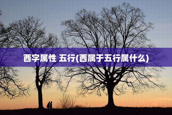西字属性 五行(西属于五行属什么)