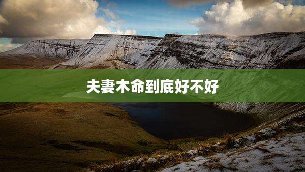 夫妻木命到底好不好