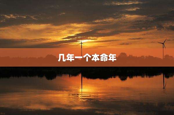 几年一个本命年