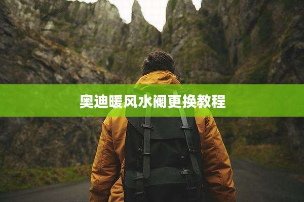 奥迪暖风水阀更换教程