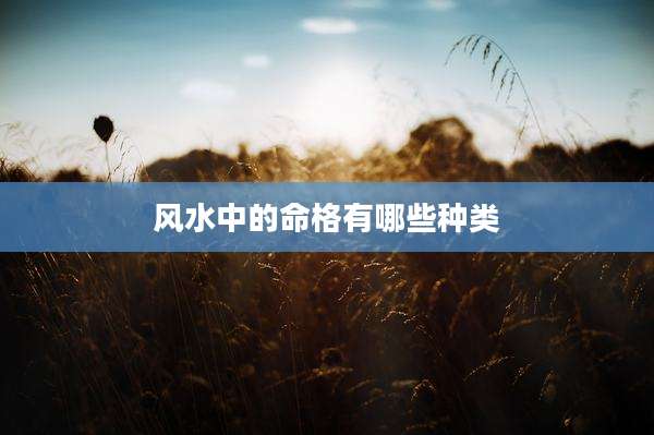风水中的命格有哪些种类