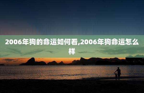 2006年狗的命运如何看,2006年狗命运怎么样