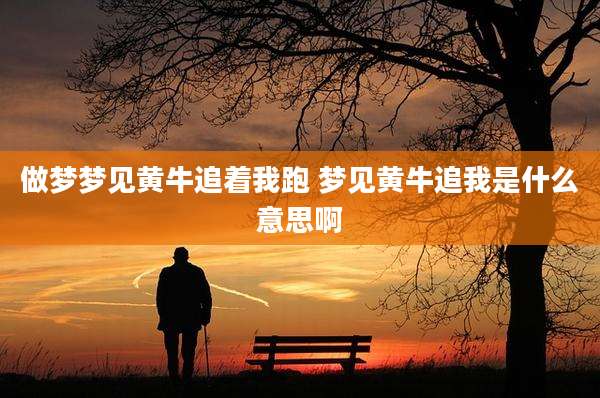 做梦梦见黄牛追着我跑 梦见黄牛追我是什么意思啊