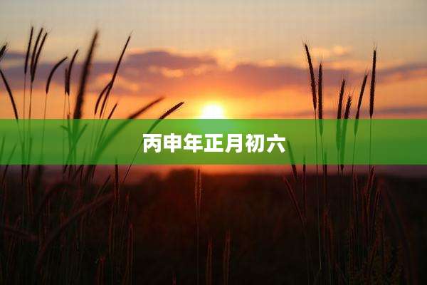 丙申年正月初六