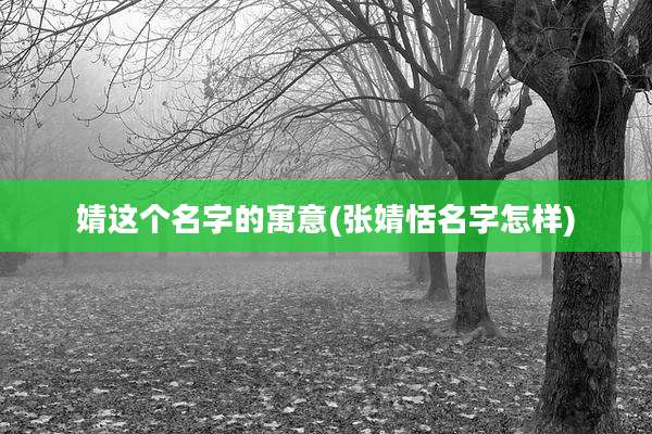 婧这个名字的寓意(张婧恬名字怎样)