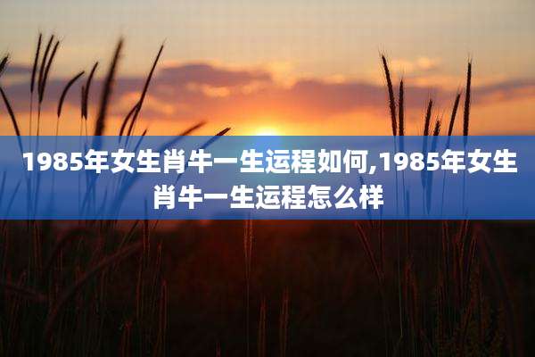 1985年女生肖牛一生运程如何,1985年女生肖牛一生运程怎么样