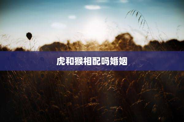 虎和猴相配吗婚姻