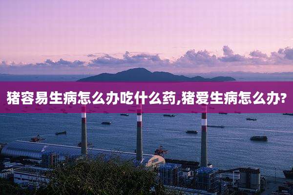 猪容易生病怎么办吃什么药,猪爱生病怎么办?