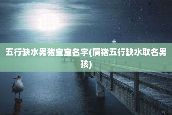 五行缺水男猪宝宝名字(属猪五行缺水取名男孩)