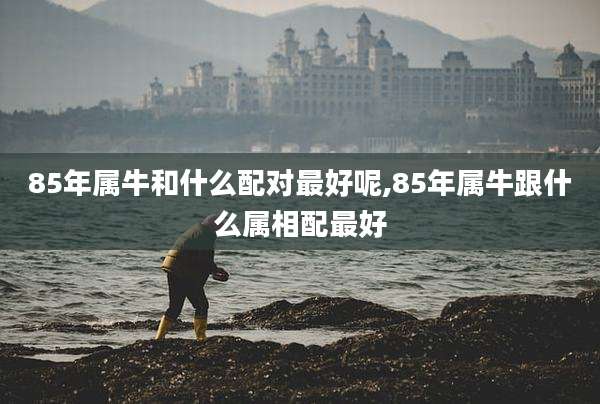 85年属牛和什么配对最好呢,85年属牛跟什么属相配最好