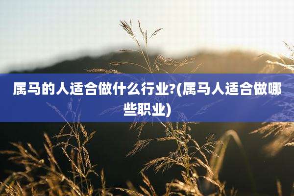 属马的人适合做什么行业?(属马人适合做哪些职业)