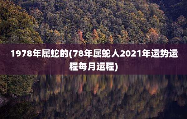 1978年属蛇的(78年属蛇人2021年运势运程每月运程)