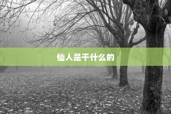 仙人是干什么的