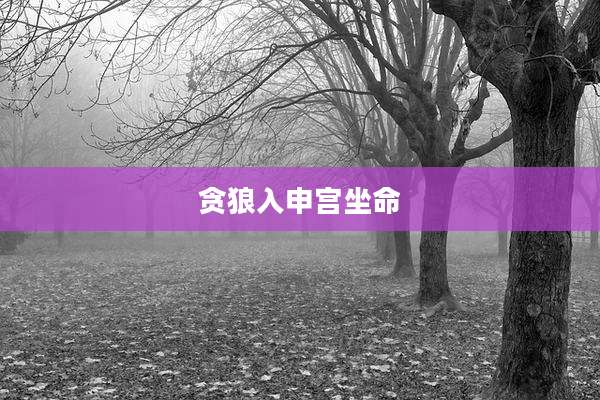 贪狼入申宫坐命