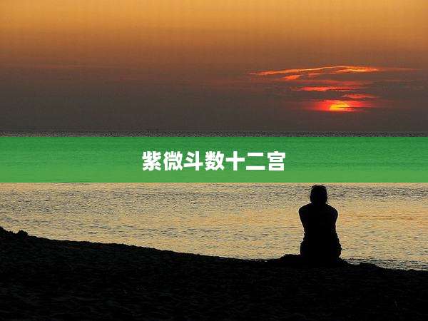 紫微斗数十二宫