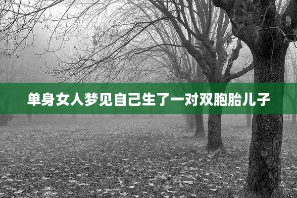 单身女人梦见自己生了一对双胞胎儿子