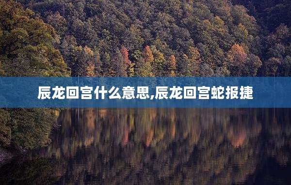 辰龙回宫什么意思,辰龙回宫蛇报捷