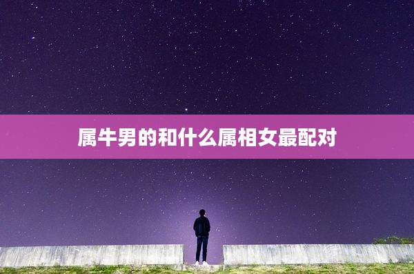 属牛男的和什么属相女最配对