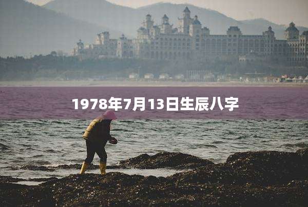 1978年7月13日生辰八字