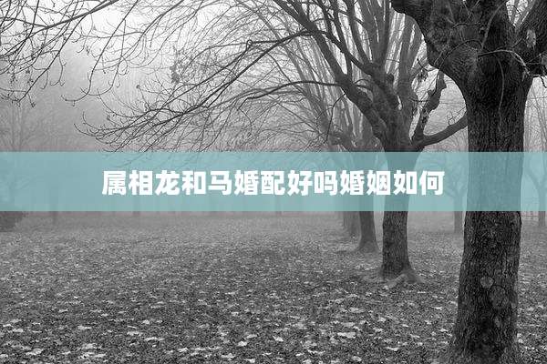 属相龙和马婚配好吗婚姻如何