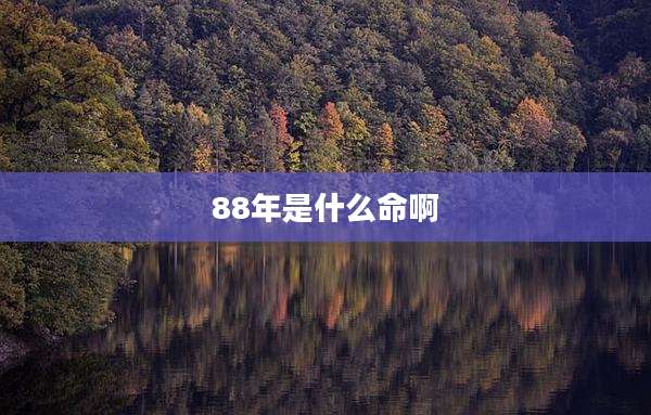 88年是什么命啊