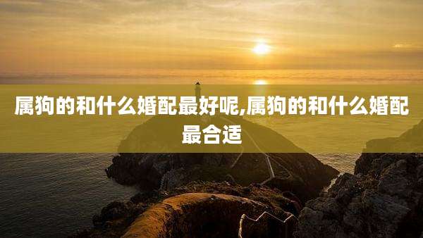 属狗的和什么婚配最好呢,属狗的和什么婚配最合适