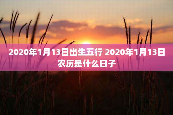 2020年1月13日出生五行 2020年1月13日农历是什么日子