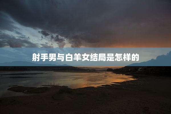 射手男与白羊女结局是怎样的
