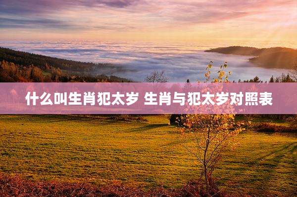 什么叫生肖犯太岁 生肖与犯太岁对照表