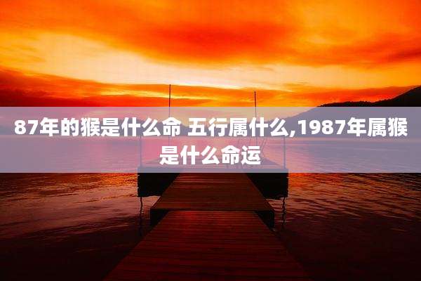 87年的猴是什么命 五行属什么,1987年属猴是什么命运