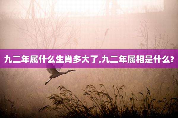 九二年属什么生肖多大了,九二年属相是什么?
