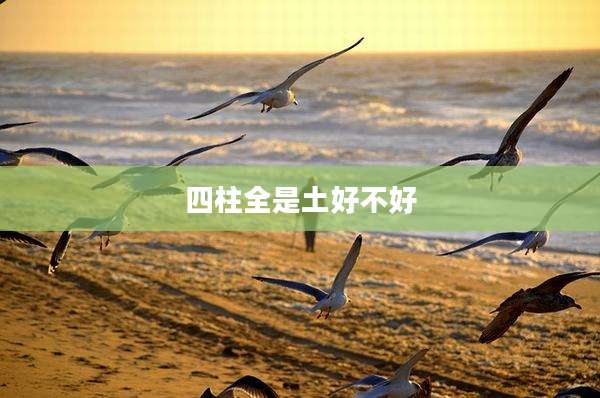 四柱全是土好不好