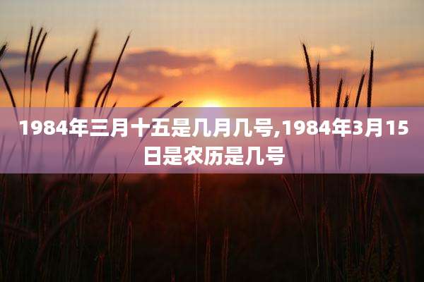 1984年三月十五是几月几号,1984年3月15日是农历是几号