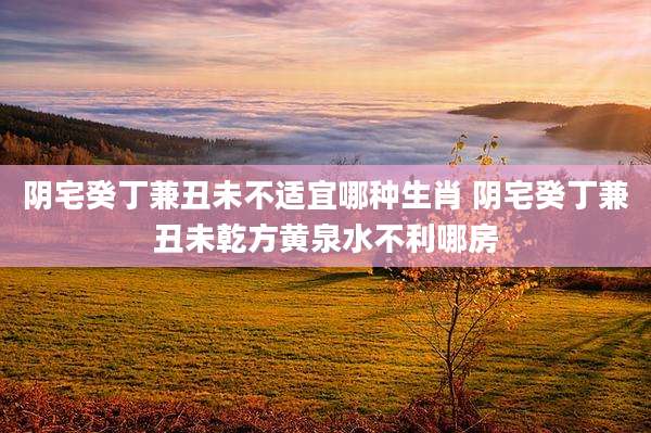 阴宅癸丁兼丑未不适宜哪种生肖 阴宅癸丁兼丑未乾方黄泉水不利哪房
