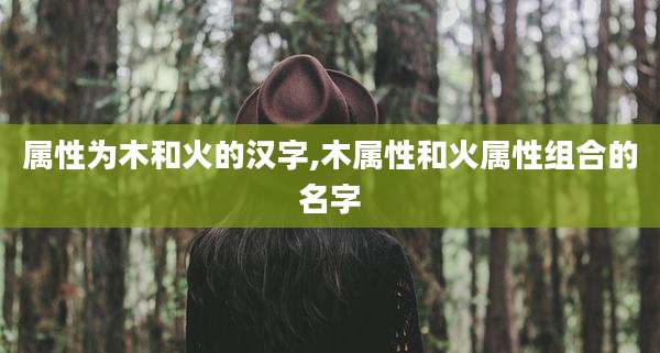 属性为木和火的汉字,木属性和火属性组合的名字