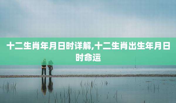 十二生肖年月日时详解,十二生肖出生年月日时命运